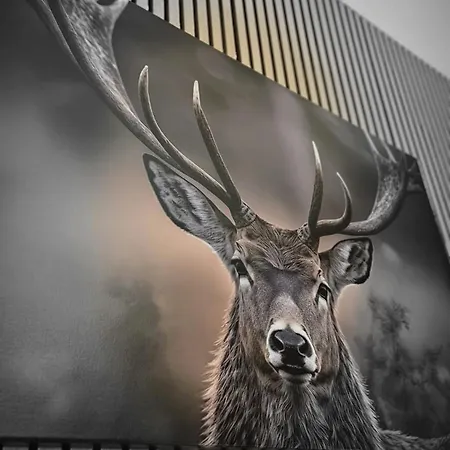 Apartment Lux Lapland Cranberry Center 61m2 Ski-in Ski-out 2 Bedr & 2 Bathr *