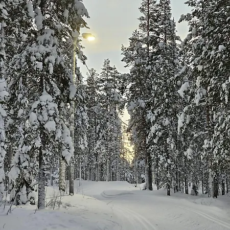 Lux Lapland Cranberry Center 61m2 Ski-in Ski-out 2 Bedr & 2 Bathr *