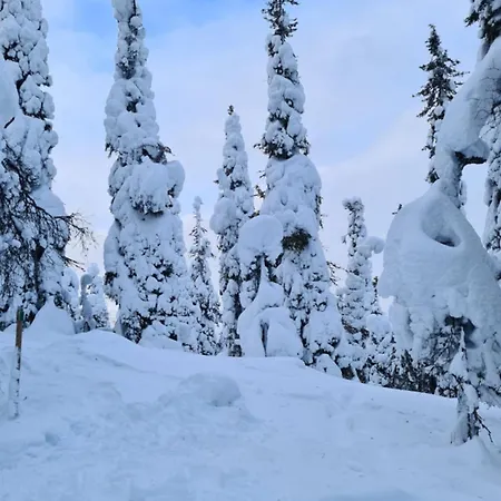 Apartment Lux Lapland Cranberry Center 61m2 Ski-in Ski-out 2 Bedr & 2 Bathr